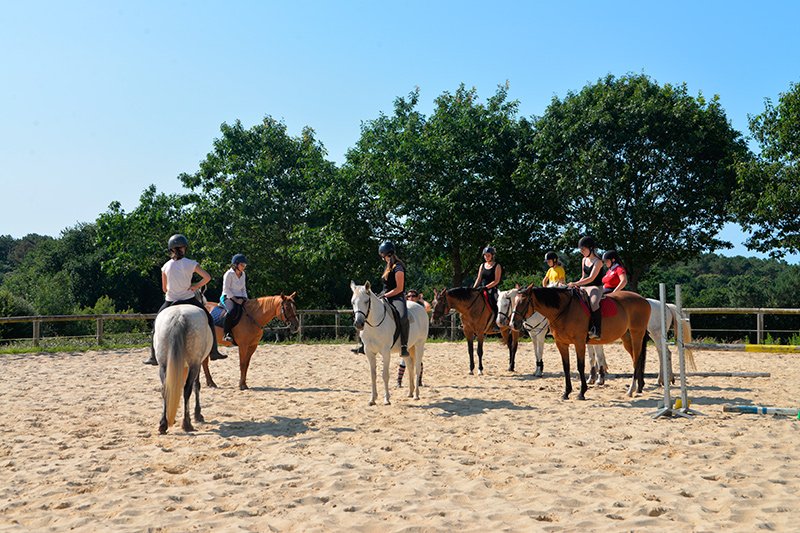 cours d'équitation